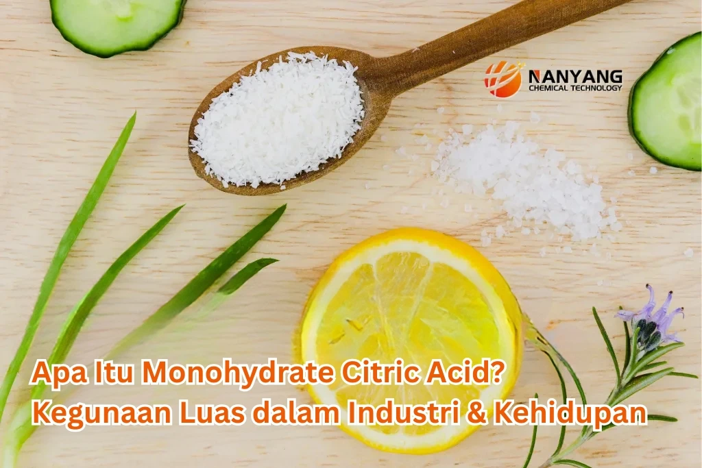 Apa Itu Monohydrate Citric Acid Kegunaan Luas dalam Industri & Kehidupan